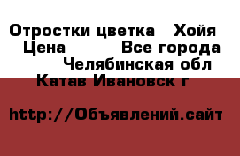 Отростки цветка  “Хойя“ › Цена ­ 300 - Все города  »    . Челябинская обл.,Катав-Ивановск г.
